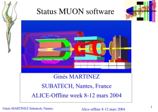 Status MUON software