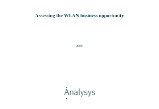 Assessing the WLAN business opportunity