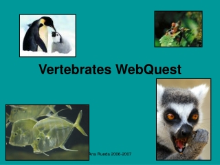 Vertebrates WebQuest