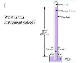 What is this instrument called?