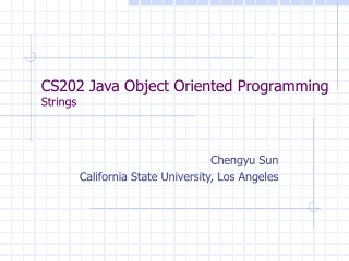 CS202 Java Object Oriented Programming Strings