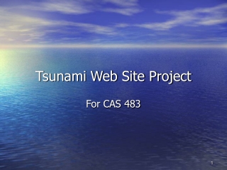 Tsunami Web Site Project