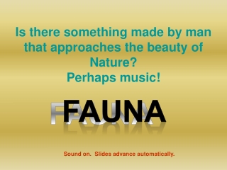 FAUNA