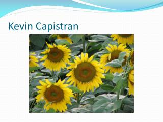 Kevin Capistran