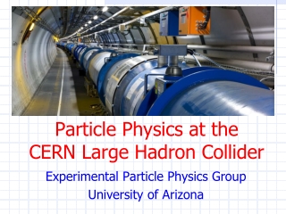 Particle Physics at the CERN Large Hadron Collider