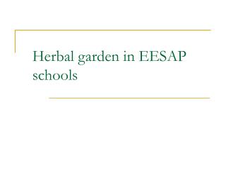 Herbal garden in EESAP schools