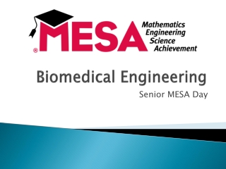 Biomedical Engineering