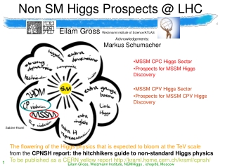 Non SM Higgs Prospects @ LHC