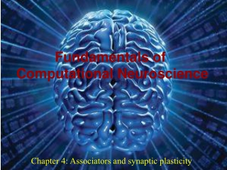 Chapter 4: Associators and synaptic plasticity