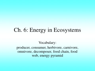 Ch. 6: Energy in Ecosystems