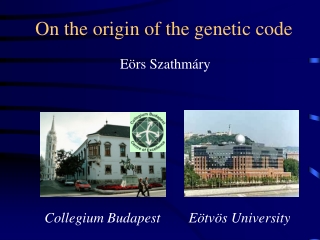 On the origin of the genetic code