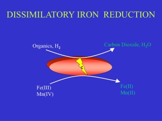 Organics, H 2