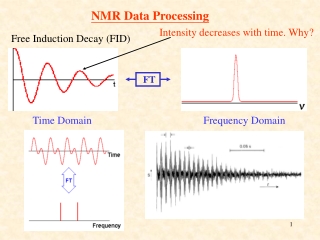 NMR Data Processing