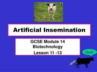 Artificial Insemination