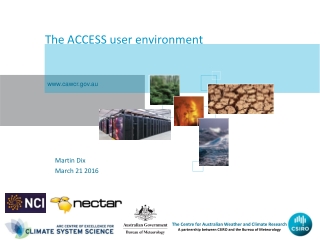The ACCESS user environment