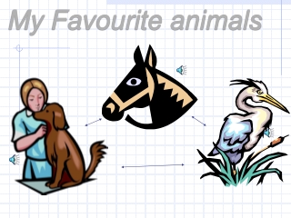 My Favourite animals