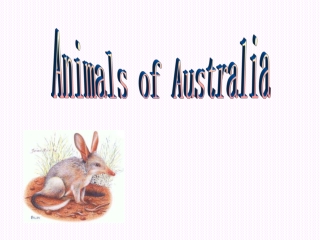 Animals of Australia