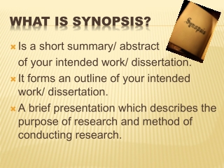 WHAT IS SYNOPSIS?