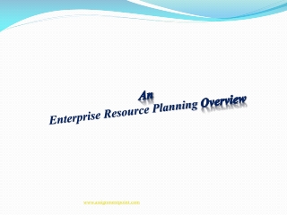 An Enterprise Resource Planning Overview