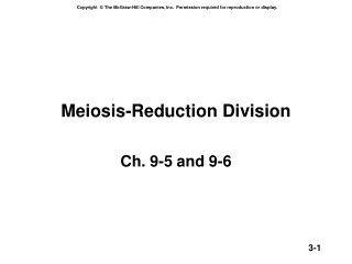 Meiosis-Reduction Division
