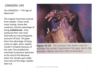 CENOZOIC LIFE