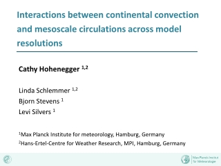 Interactions between continental convection and mesoscale circulations across model resolutions