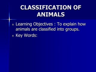 CLASSIFICATION OF ANIMALS