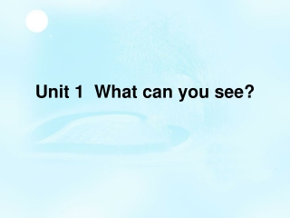 Unit 1 What can you see?