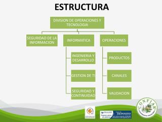 ESTRUCTURA