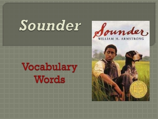 Sounder Vocabulary Words