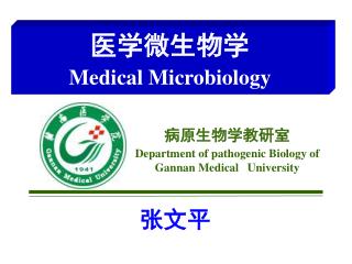 病原生物学教研室 Department of pathogenic Biology of Gannan Medical University