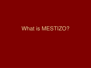 What is MESTIZO?