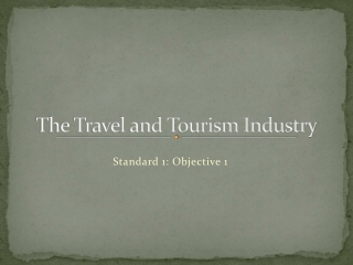 The Travel and Tourism Industry