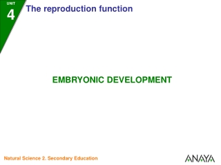 EMBRYONIC DEVELOPMENT