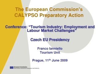 The European Commission’s CALYPSO Preparatory Action