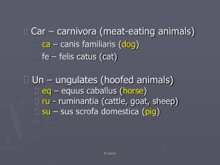 Car – carnivora (meat-eating animals) ca – canis familiaris ( dog ) fe – felis catus (cat)