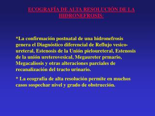 ECOGRAFÍA DE ALTA RESOLUCIÓN DE LA HIDRONEFROSIS :