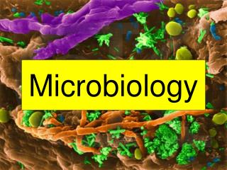 Microbiology