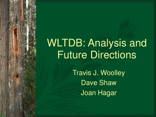 WLTDB: Analysis and Future Directions