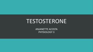 TESTOSTERONE