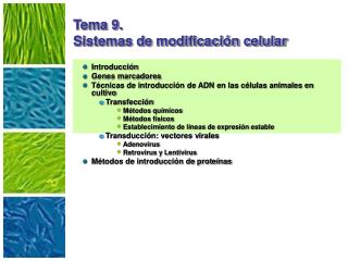 Tema 9. Sistemas de modificación celular