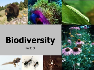 Biodiversity