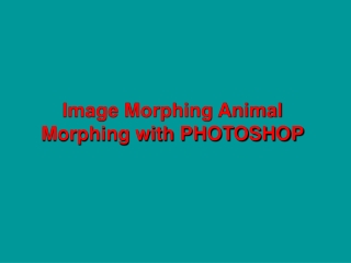 Image Morphing Animal Morphing with PHOTOSHOP