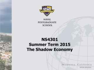 NS4301 Summer Term 2015 The Shadow Economy