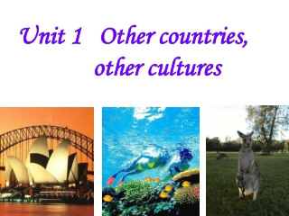 Unit 1 Other countries, other cultures