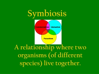 Symbiosis