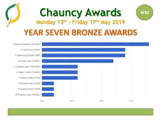 YEAR SEVEN BRONZE AWARDS