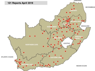 121 Reports April 2019