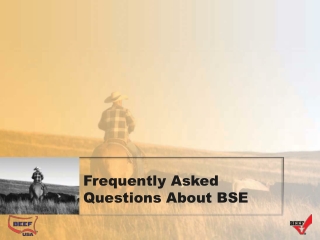 Frequently Asked Questions About BSE