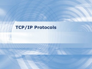 TCP/IP Protocols